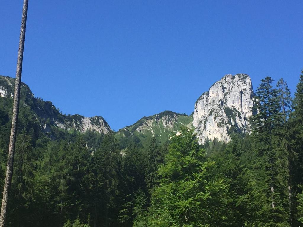 Apartment Andrea - Chiemgau Karte 인젤 외부 사진