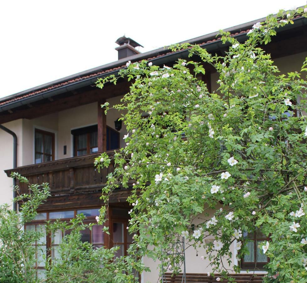 Apartment Andrea - Chiemgau Karte 인젤 외부 사진